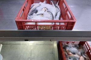 Constanta: Actiune pe linia combaterii comertului ilegal cu peste si produse din peste. Au fost aplicate amenzi (galerie foto)