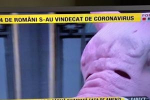 ULTIMĂ ORĂ PRIMUL Protest din România: bărbat cu sârmă ghimpată şi cap de porc, în stradă, ÎMPOTRIVA izolării