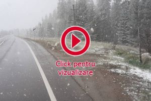 Ninsoare şi carosabil umed, în Pasul Tihuţa