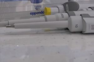 41 de pacienţi din Prahova confirmaţi cu coronavirus s-au vindecat. În judeţ nu mai este niciun cadru medical infectat