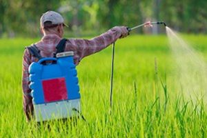 Un tânăr de 25 de ani comercializa în Piaţa Agroalimentară din oraşul Haţeg  produse expirate pentru protecţia plantelor