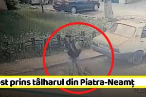 A fost prins tâlharul din Piatra-Neamţ (VIDEO)