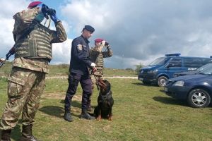 Sub paza Armatei: Prefectul de Bihor a cerut ajutorul militarilor pentru a ţine sub control colonia de romi din Vadu Crişului, aflată în carantină