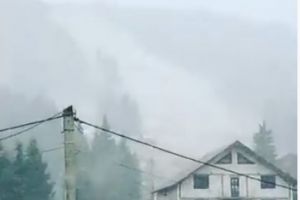 VIDEO| Ninsoare ca în plină iarnă la Arieşeni, în luna mai. Zăpada a pus stăpânire peste întreg peisajul