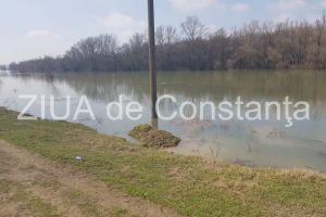 Punti hidrometrice, amplasate de ABADL la statiile hidrometrice de pe raurile din Dobrogea  