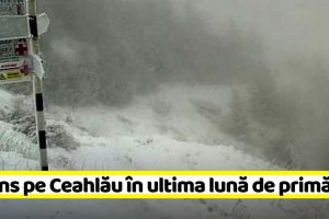 Zăpadă pe Ceahlău în ultima lună de primăvară (VIDEO)
