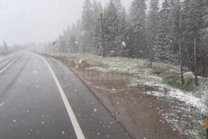 Ninsoare şi carosabil umed, în Pasul Tihuţa