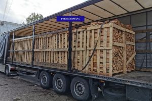 Un TIR încărcat cu 22 metri cubi lemne cu documente neconforme, oprit în drum spre Borş. Întreaga încărcătură a fost confiscată (FOTO)