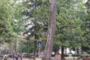Parcul General Dragalina, în pregătiri pentru deschiderea locului de joacă