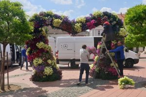 Festivalul florilor de sezon! Horticultura pune 450.000 de plante în centru, inclusiv pe arcadele de la Timfloralis