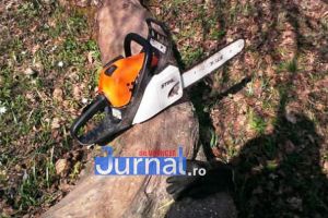 ULTIMĂ ORĂ: Accident de muncă la Nereju! Un bărbat a murit strivit de copacul pe care îl tăia