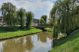 Decolmatarea râului Cibin continuă – Începe erbicidarea împotriva vegetaţiei crescute în zonele pietonale pavate