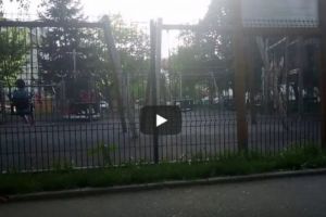(VIDEO) PE O PITEŞTEANCĂ O DOARE LA BASCHEŢI DE MĂSURI