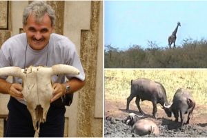 Intalnire cu Big 5“!: Antrenorul emerit Octavian Tileaga, safari de vis intr-un parc national din Africa de Sud (galerie foto)