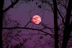 LIVE VIDEO| Ultima superlună a anului 2020: Fenomen astronomic spectaculos, „superluna florilor”, va fi vizibilă joi noaptea