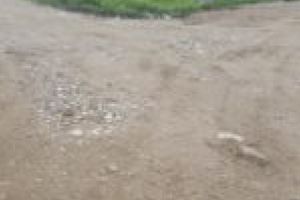 Se asfaltează drumurile agricole la Constantin Daicoviciu