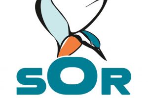 Societatea Ornitologică Română se opune vânătorii de cormorani: ”Deranj nejustificat asupra speciilor protejate”