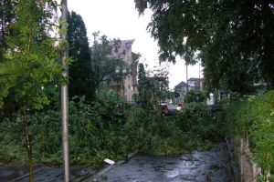 Vântul deosebit de puternic a rupt câţiva copaci