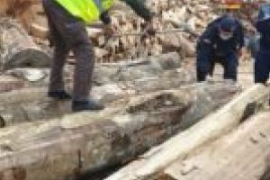 Amenzi de 16.000 de lei pentru lemn depozitat şi vândut ilegal pe raza judeţului Caraş-Severin