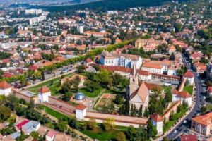 Peste 300 de cazuri noi COVID-19! Judeţul Mureş, în continuare în Top 5!
