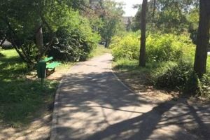 În 2021 vom avea lumină în Parcul Botanic. Abia s-a semnat contractul pe fonduri europene