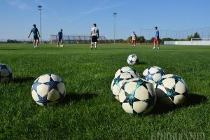 Întâlnirea online a şefului FRF cu liderii AJF nu a stabilit încă o formulă de încheiere a sezonului competiţional fotbalistic