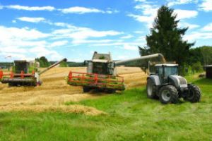 Oros: Foarte puţine dintre societăţile de asigurări au apetenţa de a face asigurări pentru secetă