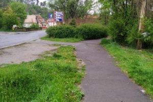 REVOLTĂTOR! S-a furat cuşca unui câine fără stăpân din Sighişoara!