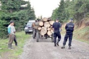 Jandarmii, pe urmele unor infractori