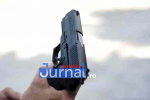 ULTIMĂ ORĂ: Hoţi de lemne opriţi cu focuri de armă, la Bordeşti