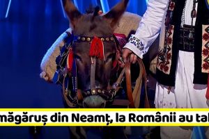 Un măgăruş din Neamţ, la Românii au talent (VIDEO)