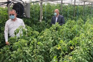 FOTO! Ministrul Agriculturii, vizită la un producător de tomate din Botoşani