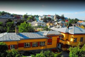 Activitatea la Palatul Copiilor Suceava continuă în mediul online