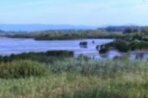 Turiştii, dornici să viziteze Pojejena. Și-au făcut deja rezervări pentru lunile de vară, în ciuda pandemiei