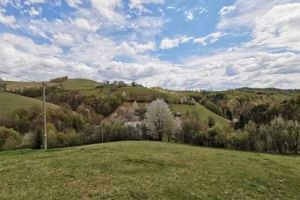Peste 40% dintre români vor să călătorească după 15 mai: Sunt preferate cazările în locuri izolate