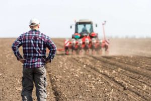 Ministrul Agriculturii schimbă ordonanţa subvenţiilor Apia