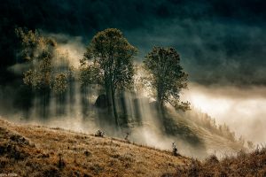 Munţii Apuseni – Fotografia zilei