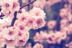 Anunţ SURPRIZĂ de la meteorologi: Cum va fi vremea în ultimele săptămâni de primăvară