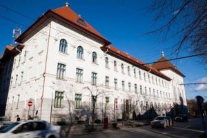 Cum şi-a făcut primarul Timişoarei echipă în instituţia de pe C.D. Loga