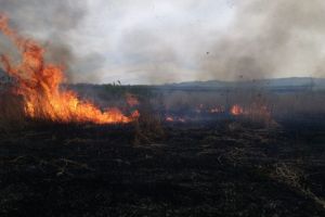 FOTO: Incendiu de vegetaţie între Sălişte şi Săcel