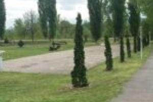 Municipalitatea din Caransebeş cere ajutorul voluntarilor pentru reabilitarea parcului Teiuş