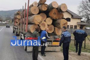 Amenzi şi confiscări de material lemnos în urma unor acţiuni în domeniul silvic  