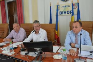 Vice în travesti: Traian Bodea rămâne în continuare vicepreşedinte CJ, chiar dacă a fost dat afară din ALDE