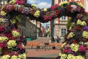 Poliţiştii locali, puşi de pază la florile din centrul Timişoarei? Ca să nu se înghesuie oamenii din 15 mai