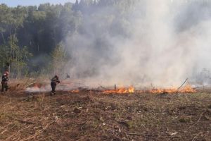 Incendiu in judetul Tulcea. Vezi pentru ce intervin pompierii (galerie foto)