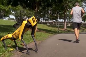 Câini-roboţi le spun oamenilor să păstreze distanţa. Se întâmplă în Singapore (VIDEO)