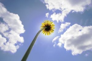 ANM: Valori termice oscilante şi instabilitate atmosferică accentuată, în perioada 11 – 24 mai