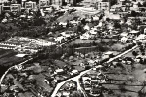 Judeţul Suceava