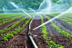 Irigaţii – AFIR  a lansat în consultare publică Ghidul solicitantului pentru finanţarea prin PNDR 2020