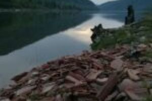 Poiana Mărului – o bucăţică de Rai doar pentru turişti. Unii localnici îşi bat joc de zona minunată în care trăiesc
